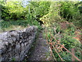 Footpath into the woods