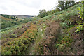 Path below Royd Edge