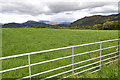 Gate into field opposite access to Thornflatt