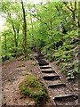 Stepped path in Alderley Edge woodland