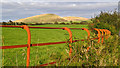 Iron fencing near Felldyke