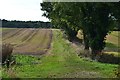 Path across fields west of Norman Court