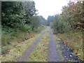 M7678 : Woodland Track near Heathfield by Peter Wood