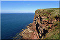 NX9413 : Sea Cliffs, Fleswick by Mick Garratt