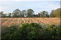 Harvested field