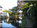 Grand Union Canal west of Mill Lane Bridge, Barrow upon Soar