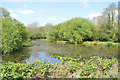 Llanilar - community lake