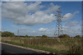 Electricity pylons