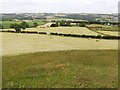 NZ1155 : Freshly cut Hay fields near High Westwood by Clive Nicholson