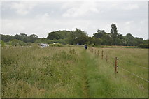 SP4710 : Thames Path by N Chadwick