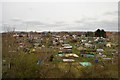 Allotments, Taunton