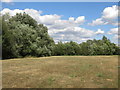 Small field south of Hithermoor Lake