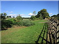 Footpath at The Orchards