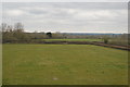 Field near East Lydford