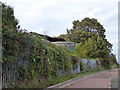 Part of the batteries on Beacon Hill, Harwich