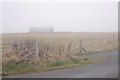 Nissen Hut, Waaness