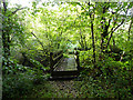 Bridleway bridge across Aber Glesyrch