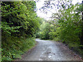 Forestry road in Cwm Glesyrch