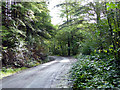 Forestry road in Cwm Glesyrch