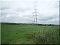 Grassland and power lines 