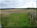 Field off Barochan Road