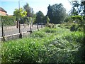 River Chess at Waterside, Chesham