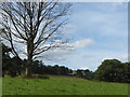 Hodder Place from the bank of the River Hodder