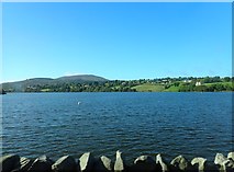 J0225 : The northern end of Camlough Lake by Eric Jones