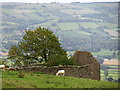 Ruin with a view