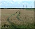 Farmland at East Sleekburn