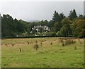 Rough grazing beside Ibert Road