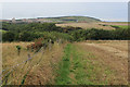 Footpath heading North West towards Dalehouse