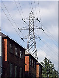 SK5702 : Factories and pylon in Leicester by Roger  D Kidd