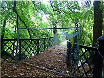 NS8246 : Derelict footbridge by the Clyde Walkway by Gordon Brown