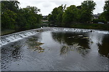S0524 : Horseshoe Weir, River Suir by N Chadwick