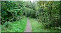 The Clyde Walkway at Arthur