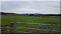 Farmland West of Auchencairn