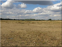 TQ0377 : Large open space northeast of Colnbrook by Mike Quinn