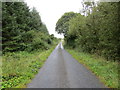 M6174 : Tree-lined local road L6579 near Cloonreliagh by Peter Wood