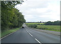 A70 near Bellsbank Wood