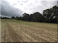 Footpath from Kilby to Arnesby