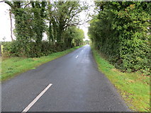 M9261 : Local road L2000 near Cloonconra by Peter Wood