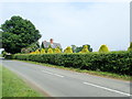 Neatly trimmed hedge and trees at Mill House