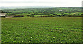 Field with a view, Elton Farm