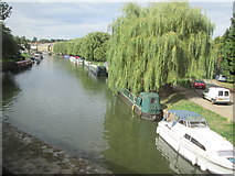 TL5479 : River  Great  Ouse  toward  Ely by Martin Dawes