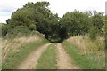 Farm track heading for the stream