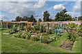 Victorian kitchen garden, The Grange