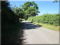 Winterford Lane at Winterford Farm