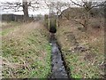 Hersham: Surface water outfall by Paul Vanson Court