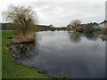 Esher: West End Pond